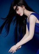 久久精品免费旁不雅国产